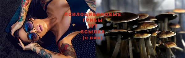 гидра Алзамай