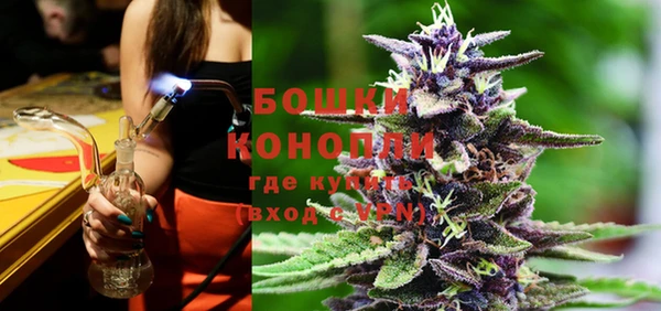 шишки Гвардейск