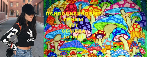каннабис Гатчина