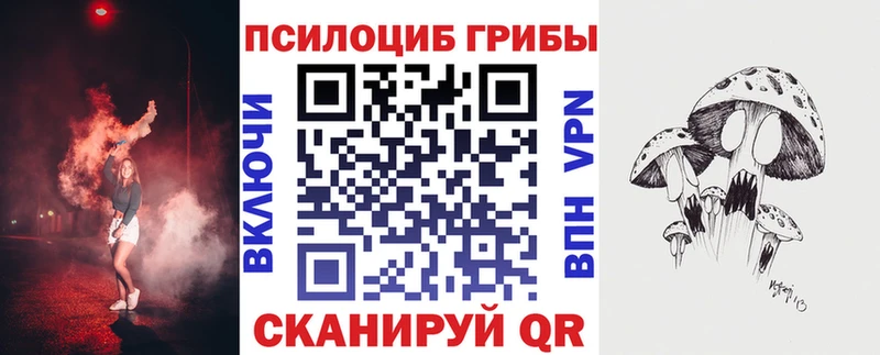 Псилоцибиновые грибы MAGIC MUSHROOMS  купить   Пудож 
